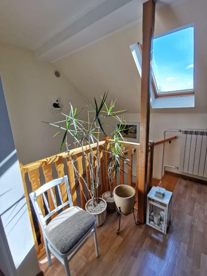 Kwiatowe Zacisze Villa Przeciszow Esterno foto
